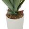 3.5" Potted Modern Style Aloe Vera Artificial Foliage